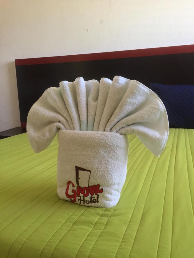 Hotel Grow *